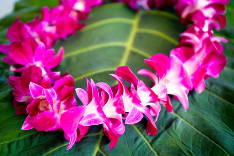 Hawaiian Orchid Lei in Purple