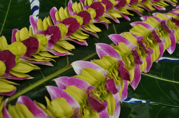 Hawaiian Butterfly Style Lei in Green and Pink