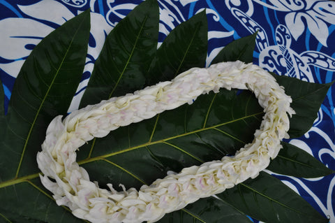 Fancy White Pikky Lei