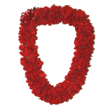 Double Carnation Lei