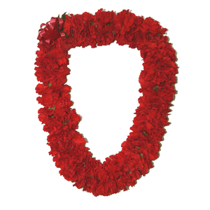 Double Carnation Lei