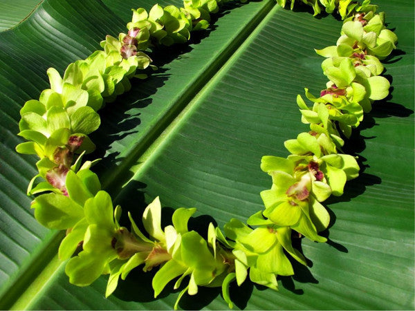 Hawaiian Orchid Lei in Green