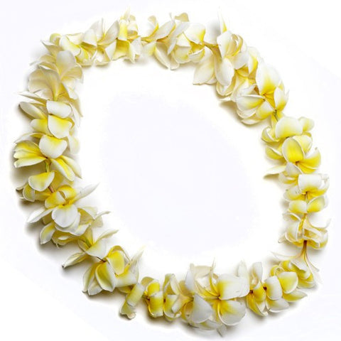 Hawaiian  Plumeria  Lei