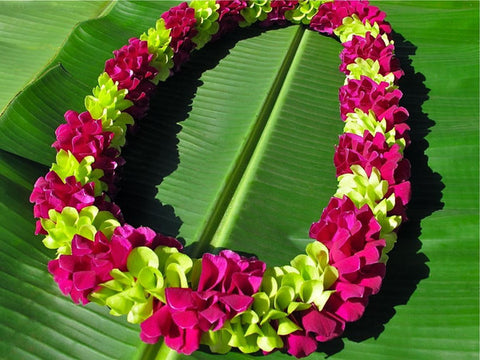 Hawaiian Spiral Lei