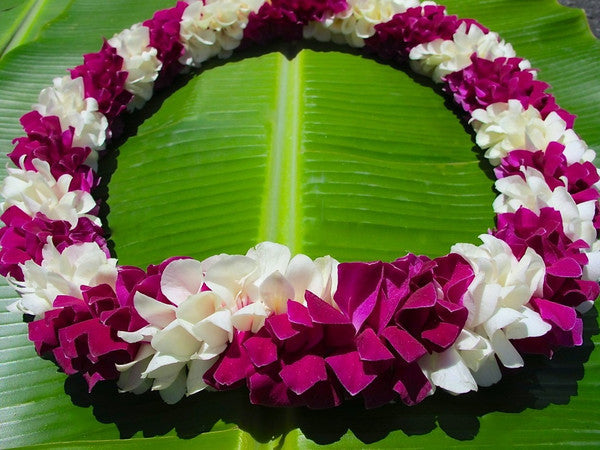 Hawaiian Spiral Lei