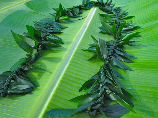 Ti Leaf Maile Lei